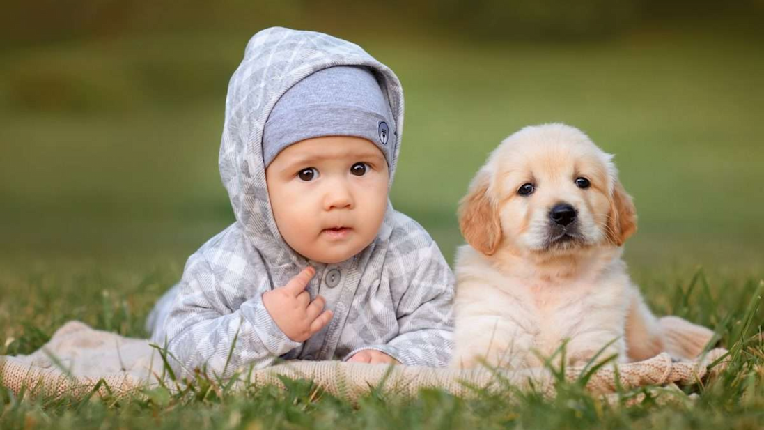 🐶 Dogs v. babies 🏥 Surgery shortfall 🍝 Sauce hack
