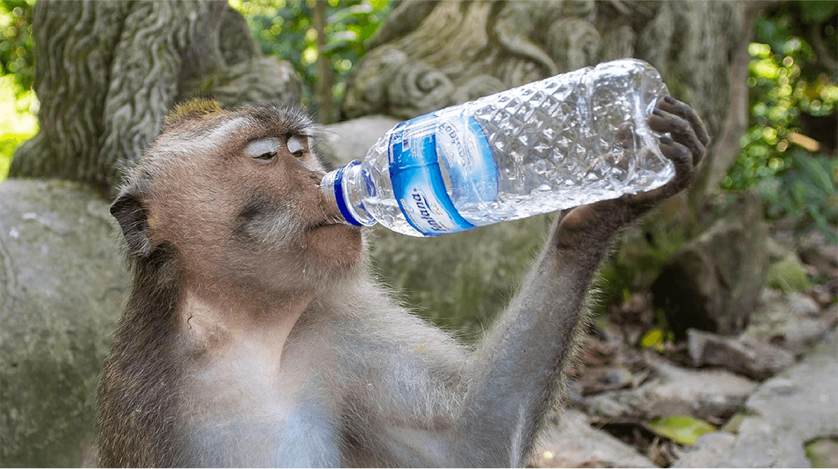 💧 Hydrate or else! 🕵️♀️ Idaho killings solved 💰 Immortal billionaires