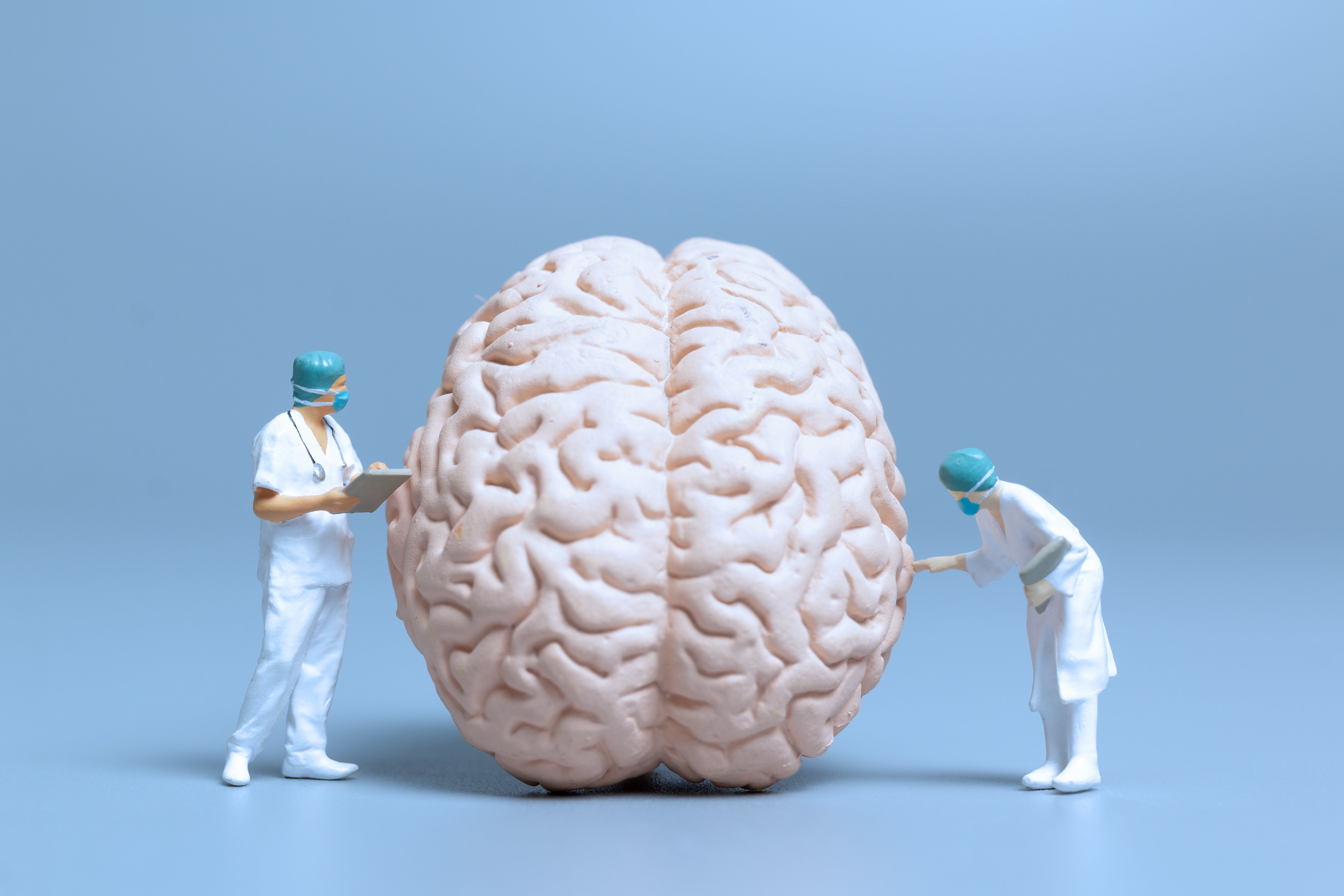 Brain Nutrition: Essential Nutrients for a Healthy Brain