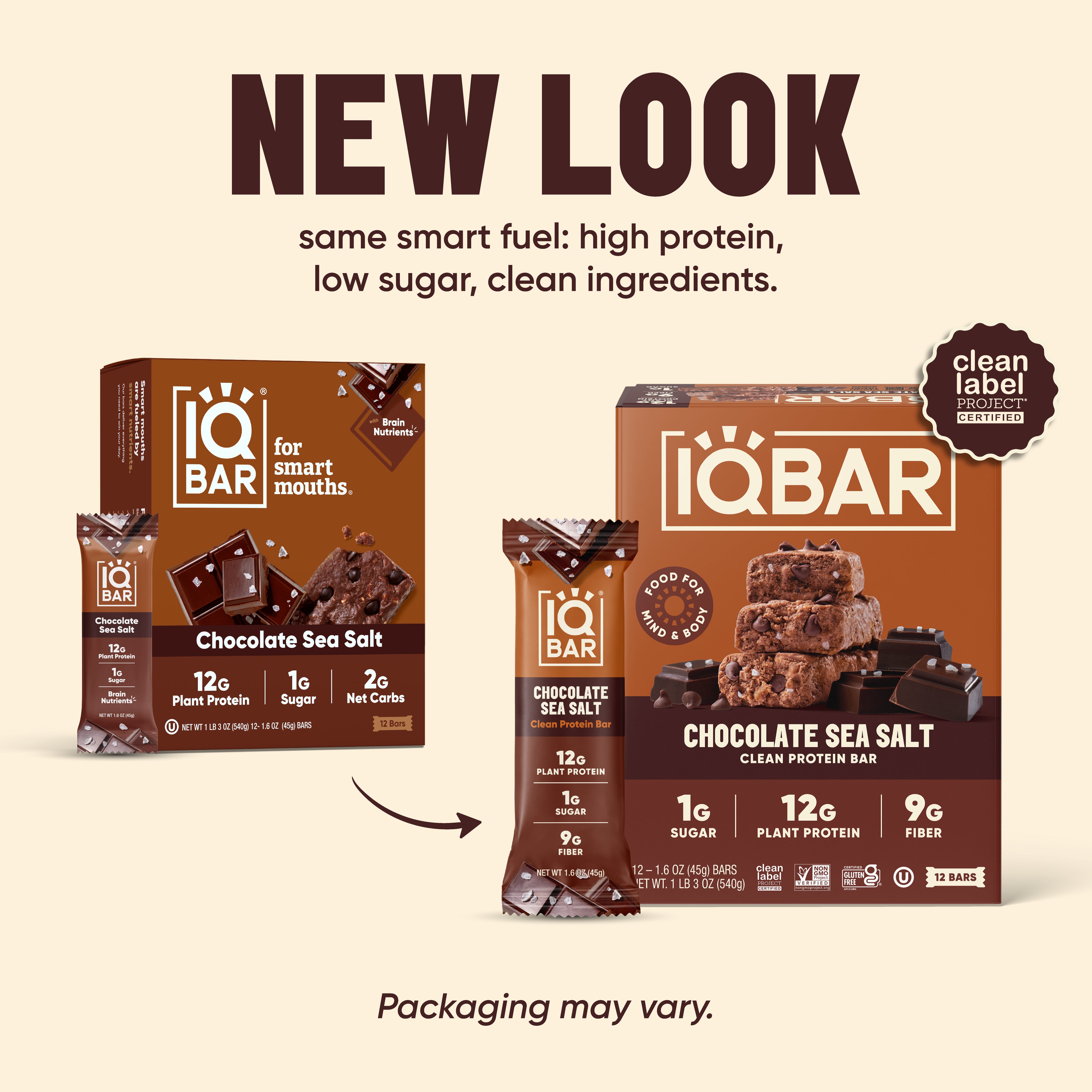 Chocolate Sea Salt (12 Bars)