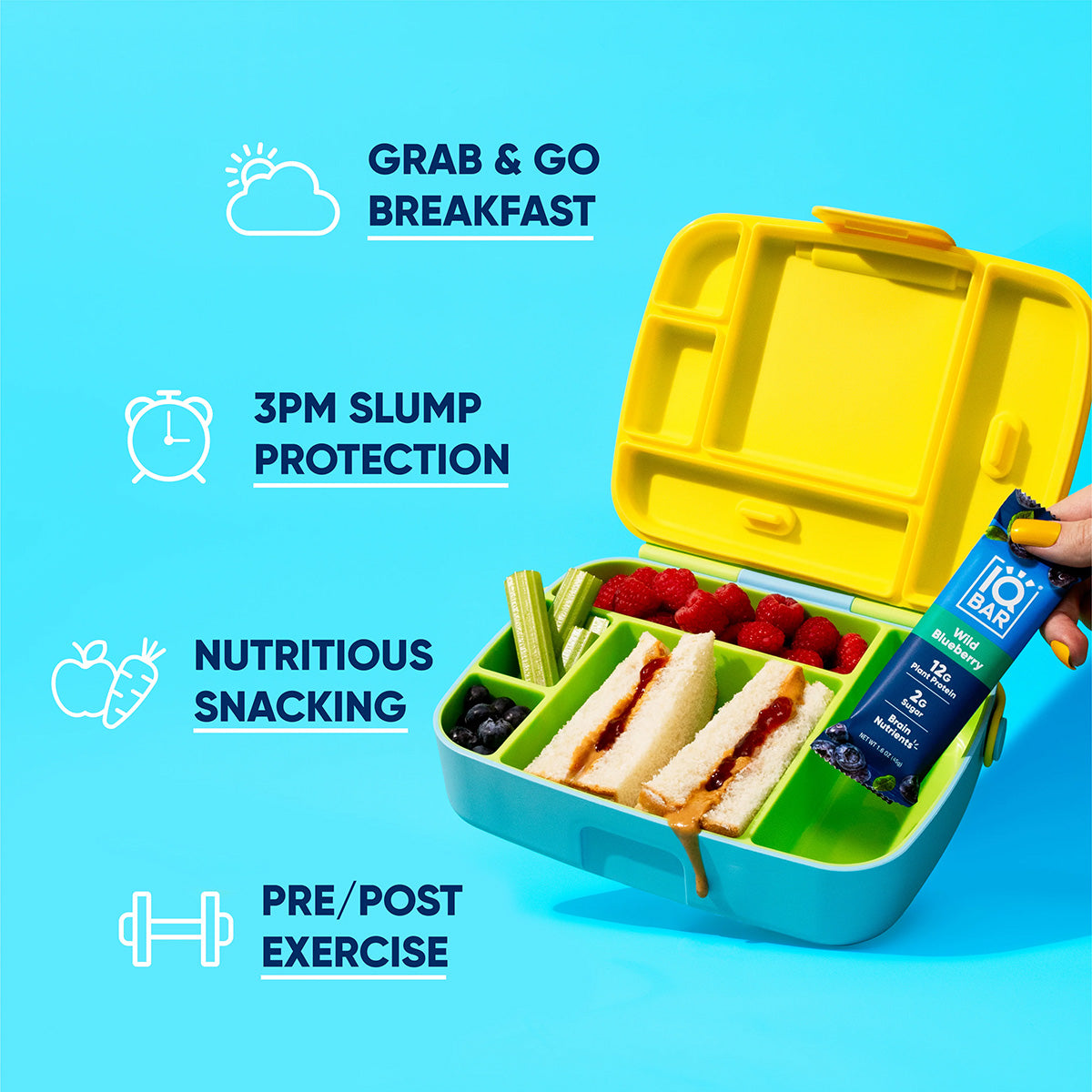 Arándano Silvestre (12 Barras)