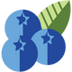 Wild Blueberry