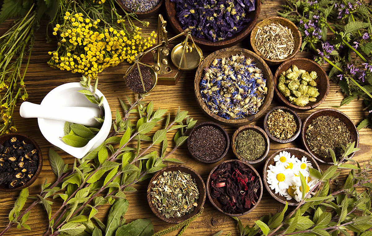 What the Heck Are Adaptogens?!