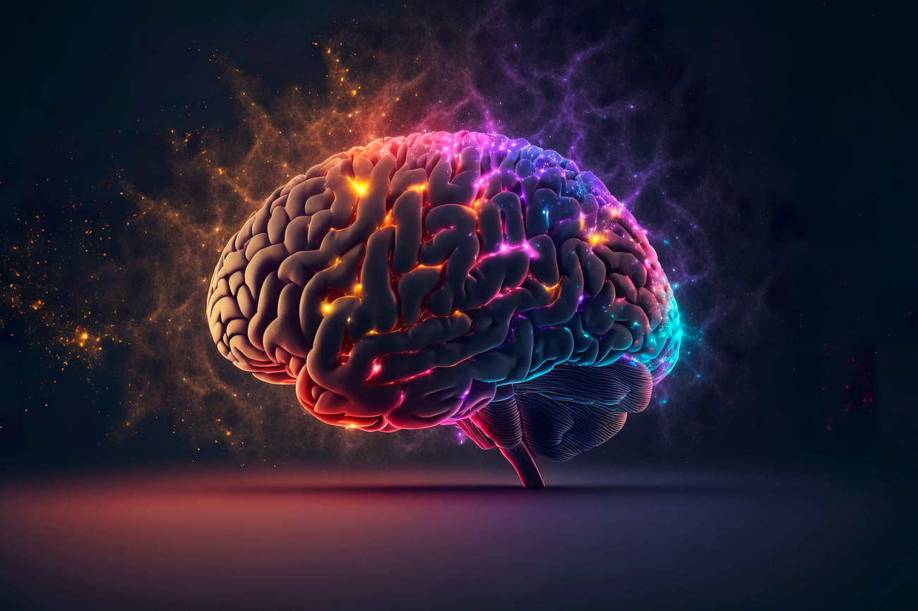 10 ScienceBacked Brain Health Supplements