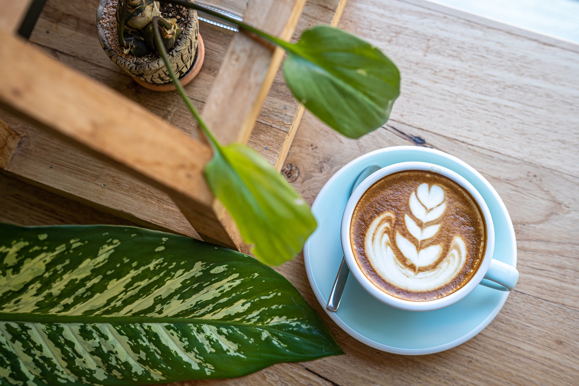 How Vegan Coffee Benefits Everyone + The Planet