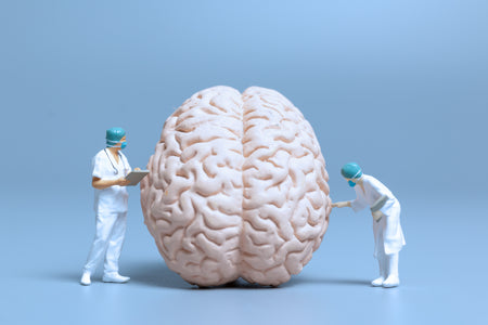 Brain Nutrition: Essential Nutrients for a Healthy Brain