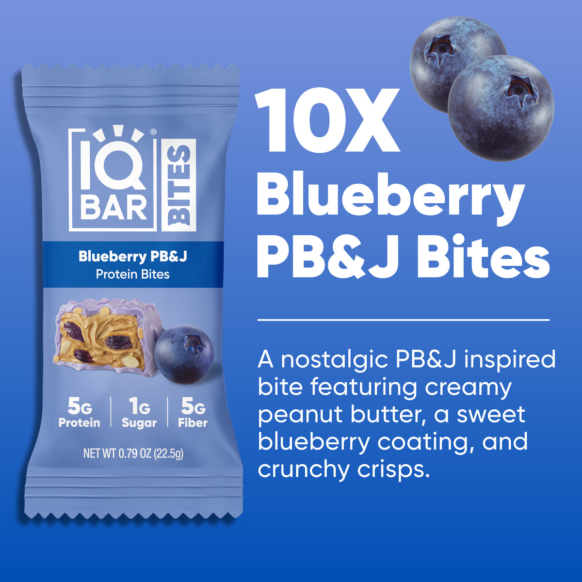 Blueberry 10ct