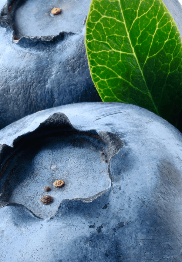 Flavonoids