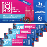 IQMIX Blueberry Pomegranate electrolyte powder — 20 sticks