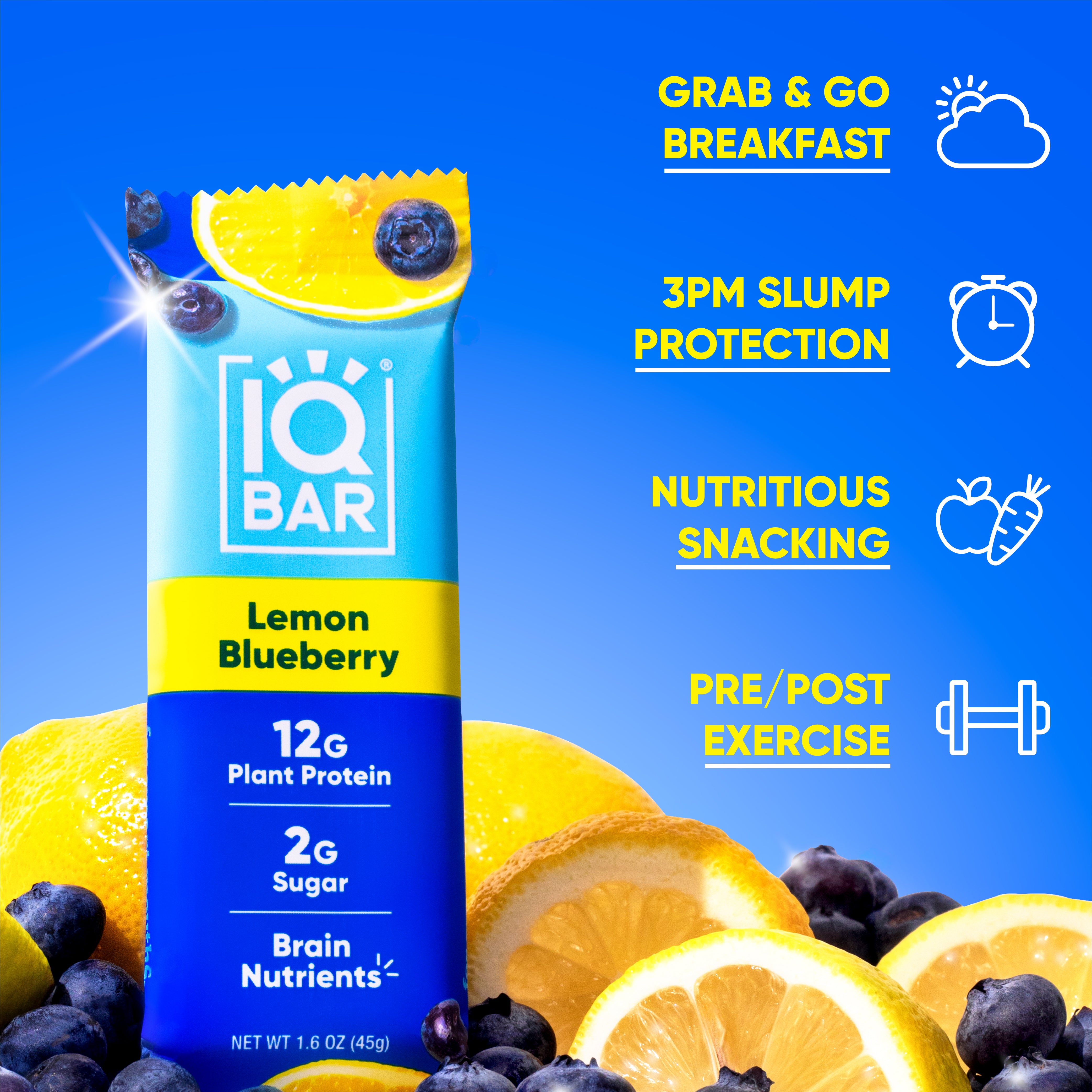 Lemon Blueberry (12 Bars)