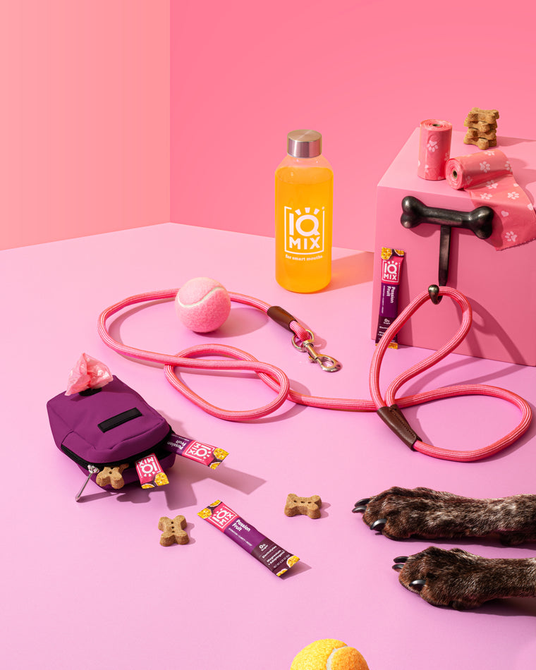 Dog accessories including a pink leash, purple bag, and yellow water bottle with IQMIX electrolyte drink on a pink background
