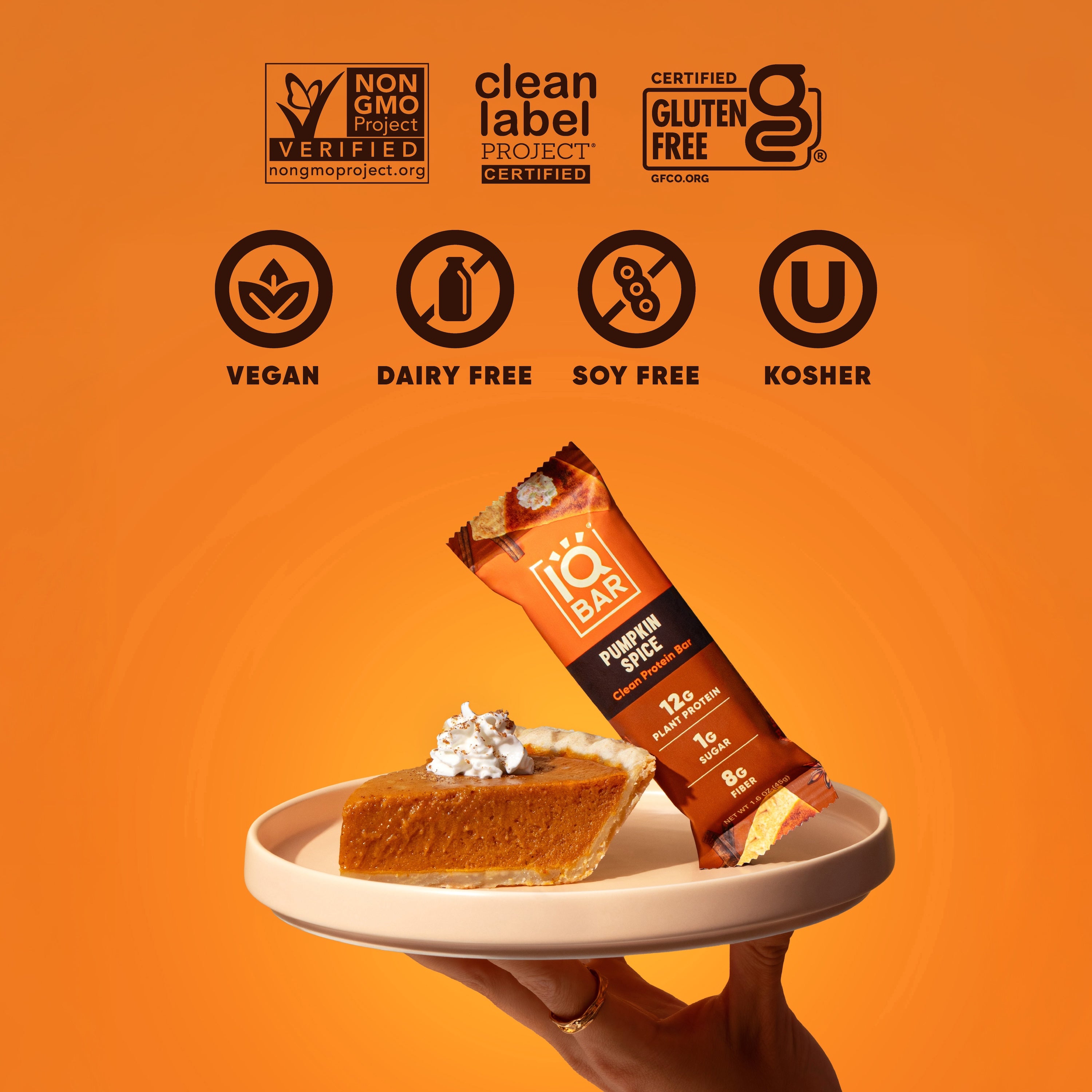 Pumpkin Spice (12 Bars)
