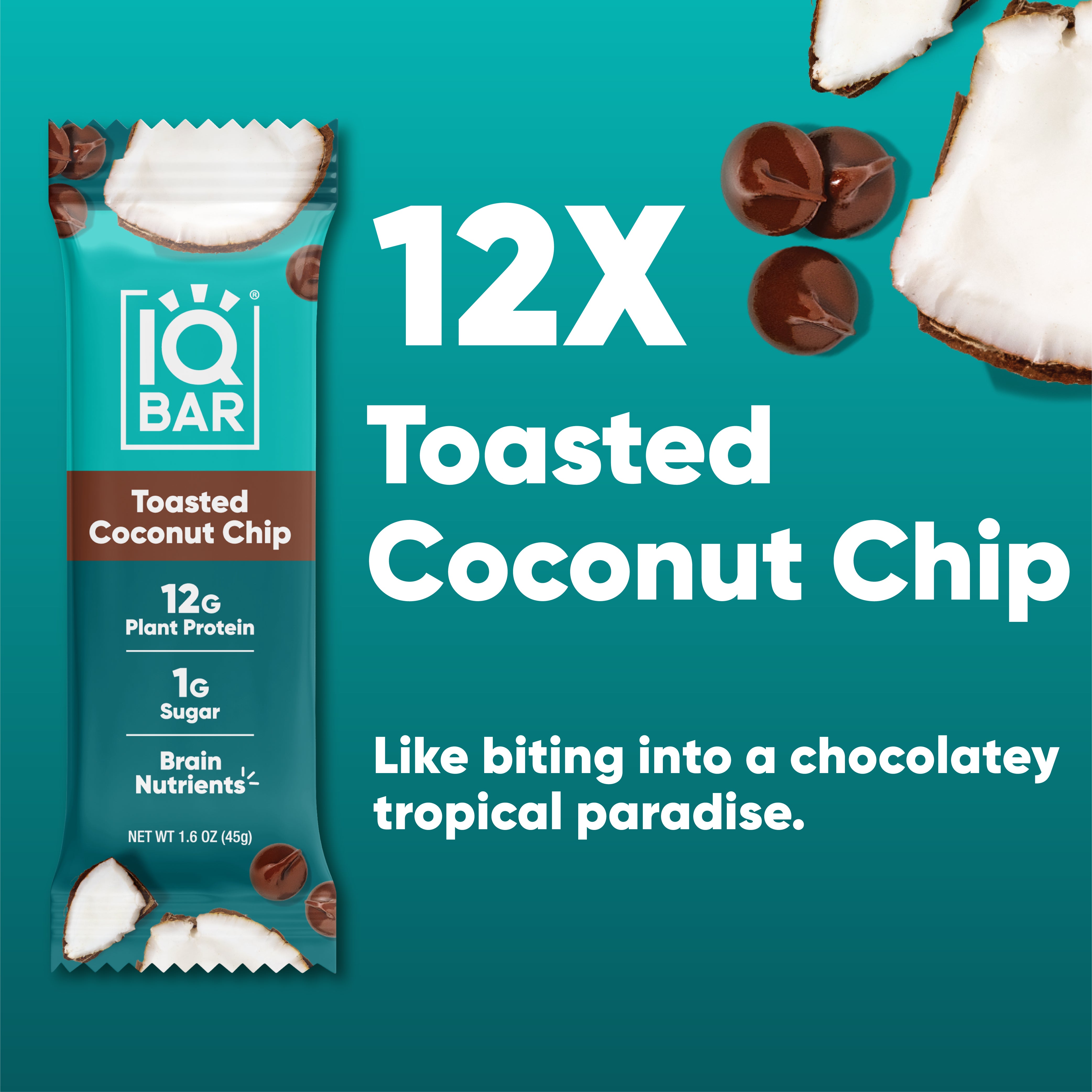 Toasted Coconut Chip (12 Bars)